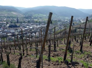 Blick auf Ahrweiler