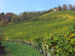 Blick auf das Kirchbergh�uschen