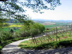 Blick auf den Rotenfels