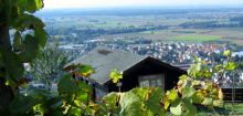 Zum Weinwanderweg Niederhausen