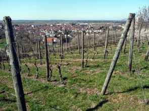 Blick auf Gro&szlig;-Umstadt