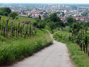 Blick auf Heppenheim