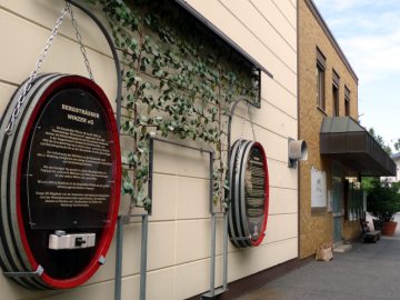 Die Winzergenossenschaft stellt sich vor