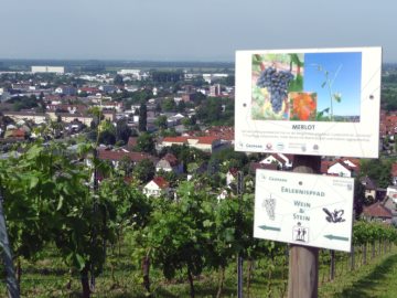 Bergstr&auml;&szlig;er Winzergenossenschaft