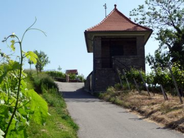 Heppenheimer Steinkopf