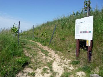 Bergstr&auml;&szlig;er Winzergenossenschaft