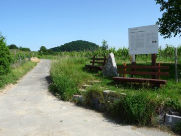 Mineralstoffe und Rebern&auml;hrung