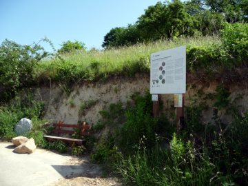 Bodenschutz und Weinbergsbegr&uuml;nung