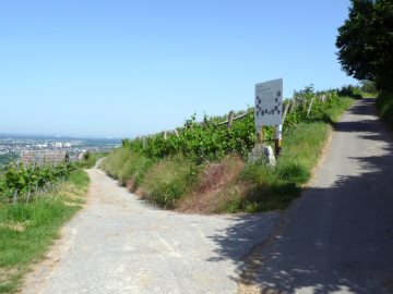 Weinbergsh&auml;uschen