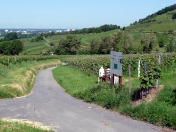 Nat&uuml;rliche Energiekreisl&auml;ufe