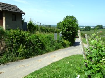 Die Qualit&auml;tspyramide