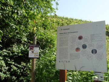 R&ouml;mer, Wein und Gesundheit