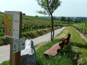 R&uuml;ckkehr von der R&ouml;merschleife