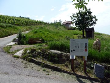 Weinbau und Kulturlandschaft