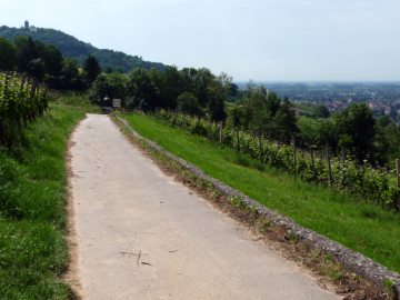 Richtung Starkenburg