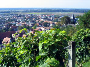 Blick auf Zwingenberg