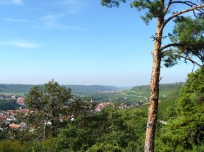 Blick auf Sommerhausen