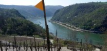 Zum Weinlehrpfad Bopparder Hamm