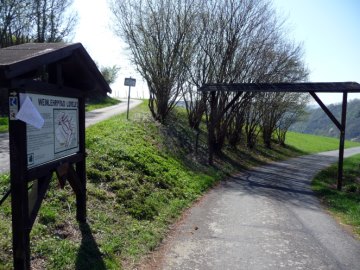 Beginn des Weinlehrpfads