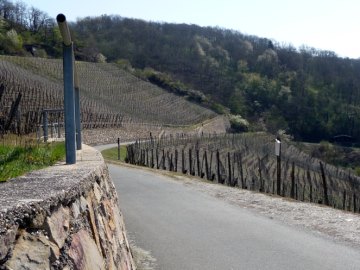 Rastplatz mit Ausblick