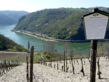 Rastplatz mit Ausblick