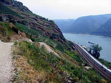 Blick auf den Oelsberg