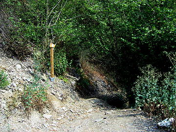 &Uuml;bersichtstafel