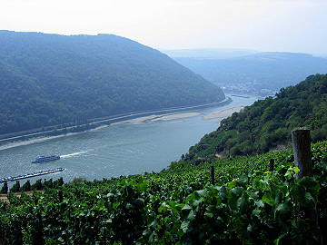 Blick Richtung Oberwesel