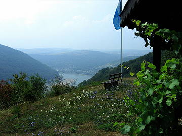 Aussichtspunkt Pfalzblick