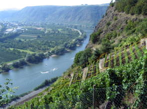 Blick auf den Rotenfels