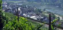 Zum Weinwanderweg Niederhausen