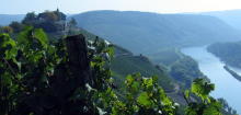 Zum Weinwanderweg Niederhausen