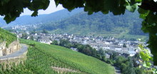 Zum Weinlehrpfad Guldental