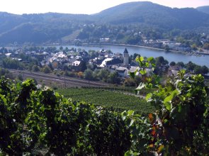 Blick auf Bullay
