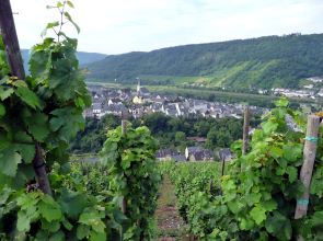 Blick auf Enkirch