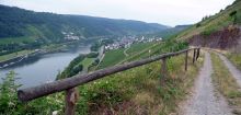 Blick vom Steillagenwanderweg