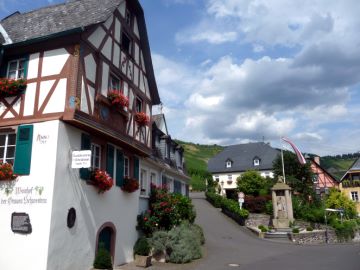 &Uuml;bersichtstafel Weinlehrpfad