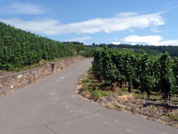 Einzellage Letterlay