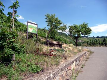 Weinlagen und wegverlauf