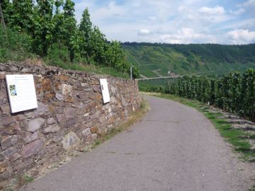 Qualitätsstufen des Moselweins