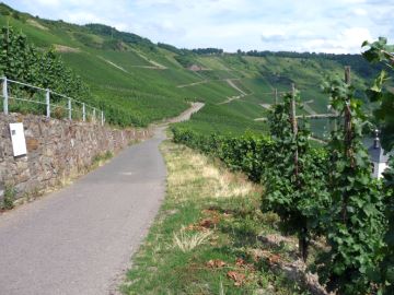 Richtung Ausgangspunkt