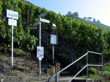 Startpunkt des Weinlehrpfads