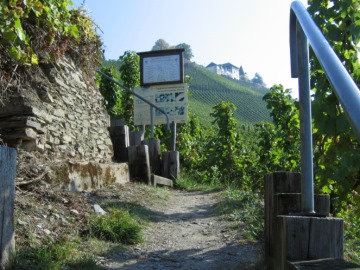 Die deutschen Weinanbaugebiete