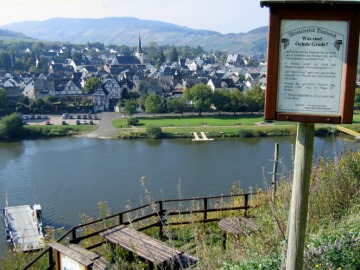 Öchsle-Grade und Mostgewicht