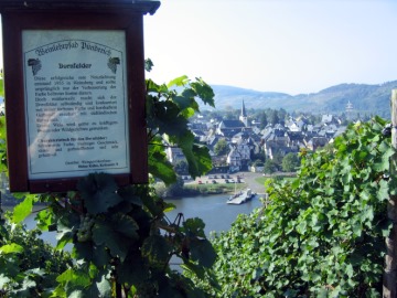 Der Dornfelder