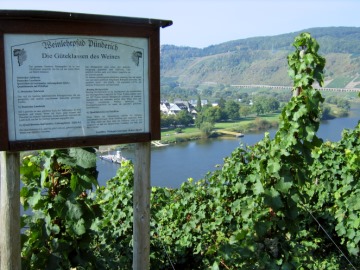 Die G&uuml;teklassen des Weins