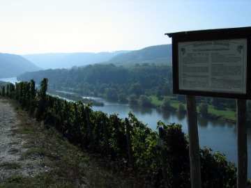 Die Qualit&auml;tsweinpr&auml;dikate