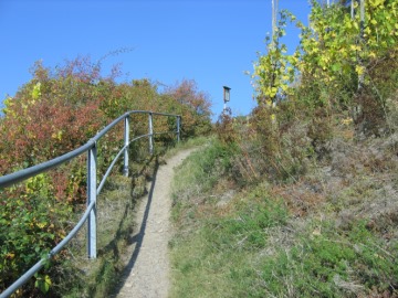 &Uuml;ber schmale Pfade