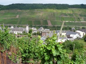 Blick auf Reil