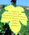 Zum virtuellen Rundgang